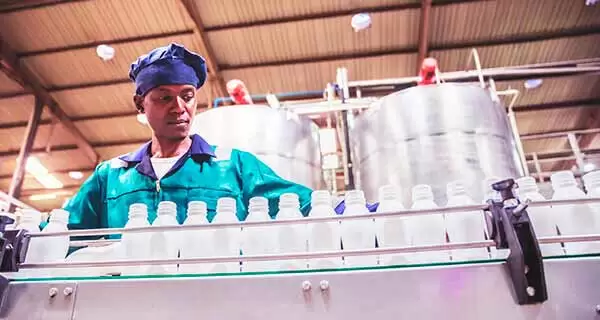 Applications laitières